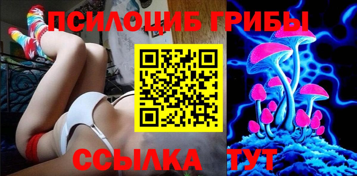 Дедовск  Галлюциногенные грибы Psilocybine cubensis  Вход с VPN 