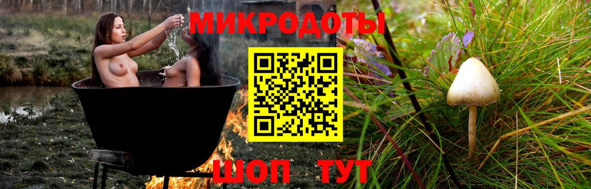 Псилоцибиновые грибы мицелий Дедовск